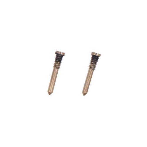 Bottom Screws Set for iPhone XS Max (2pcs) - Gold